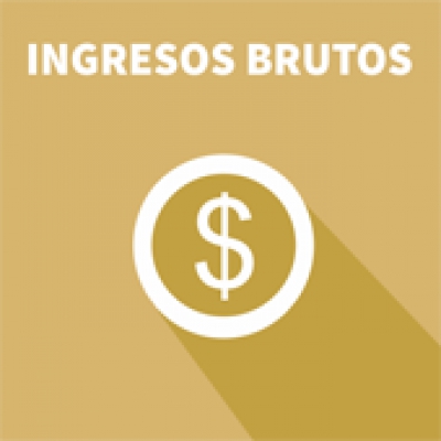 Ingresos Brutos