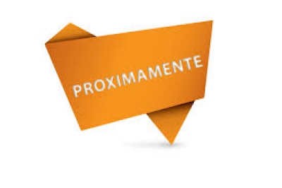 Novedades Boldt
